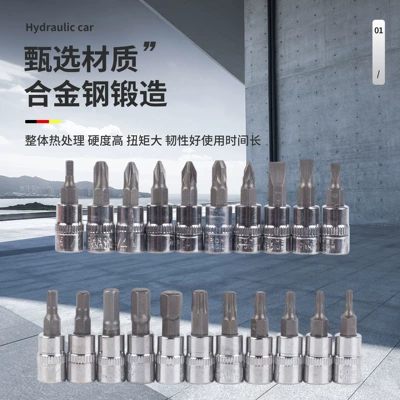 Mühərrik tənzimləmə alətləri Set for Home Use, Ratchet