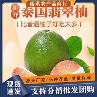 ̩�������2��/4��ˮ����Ƥ�t���ְ��]�GƤ�t������һ�����l����