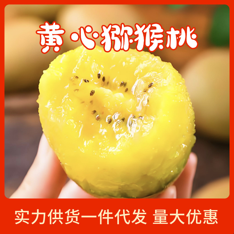 Ready-To-Eat Yellow Kiwi Fruit, Golden Kiwi Fruit, Fresh Sweet and Juicy Seasonal Kiwi Fruit, Baby Kiwi Fruit, Fruit for Pregnant Women