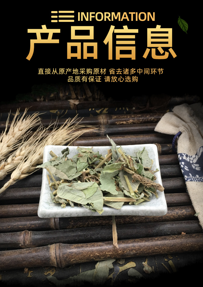Dried Lysimachia Jin Qian Cao Loose Herb Bulk Large Leaf Gold Coin Grass Traditional Herbal Tea and Decoction Ingredient 500g quality and texture