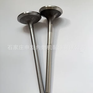 In stock: D1146 intake valve 65041010041, exhaust valve 65041010042