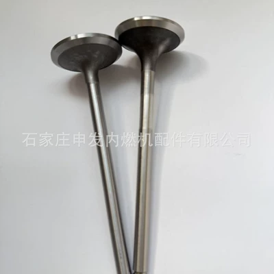 In stock: D1146 intake valve 65041010041, exhaust valve 65041010042 (Valves and components)