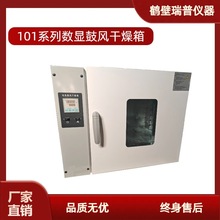 煤碳化验设备101系列数显鼓风干燥箱  做水分、分析水万能干燥箱