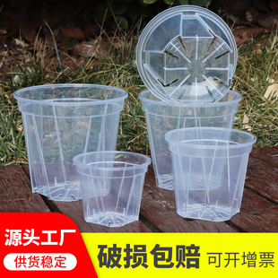 Plastic flower pot factory wholesale high transparent green mountain basin breathable root control basin Zhu Ding Red Basin Wenxin orchid phalaenopsis flower pot
