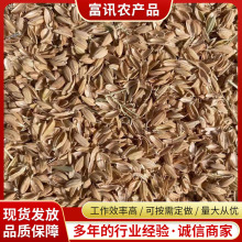 山东厂家批发散装稻壳生物燃料酿酒制醋养殖垫料天然植物材料稻壳