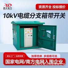 西大电力10KV户外高压电缆分支箱DFW-12/630一进一出带开关对接箱