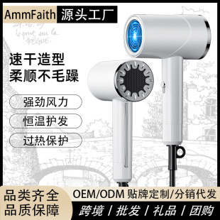 Amazon cross-border high-speed hair dryer high-power household hair salon hair dryer blue light ion hair dryer