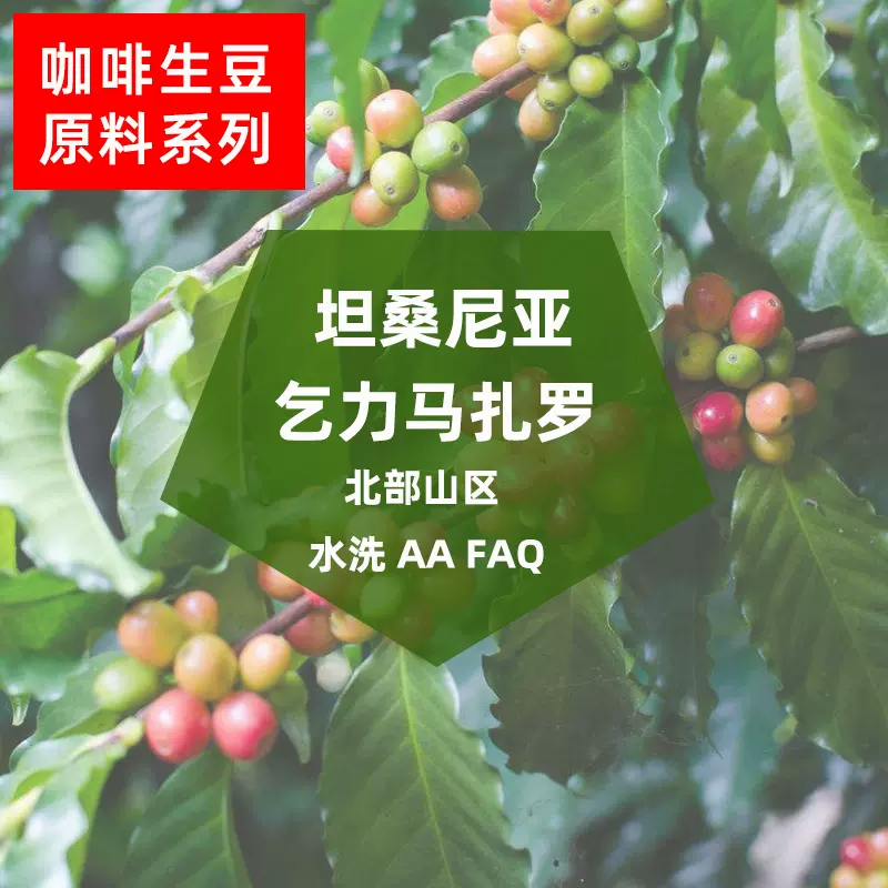 坦桑尼亚乞力马扎罗北部山区AA FAQ水洗咖啡生豆批发可代烘焙磨粉