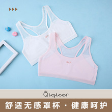 高品质发育期小学生儿童文胸纯棉a类夹棉透气女童小背心少女内衣