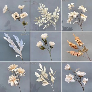 �����c�㙉ɫ������Y��ĵ����픻�����ș������Y����·������