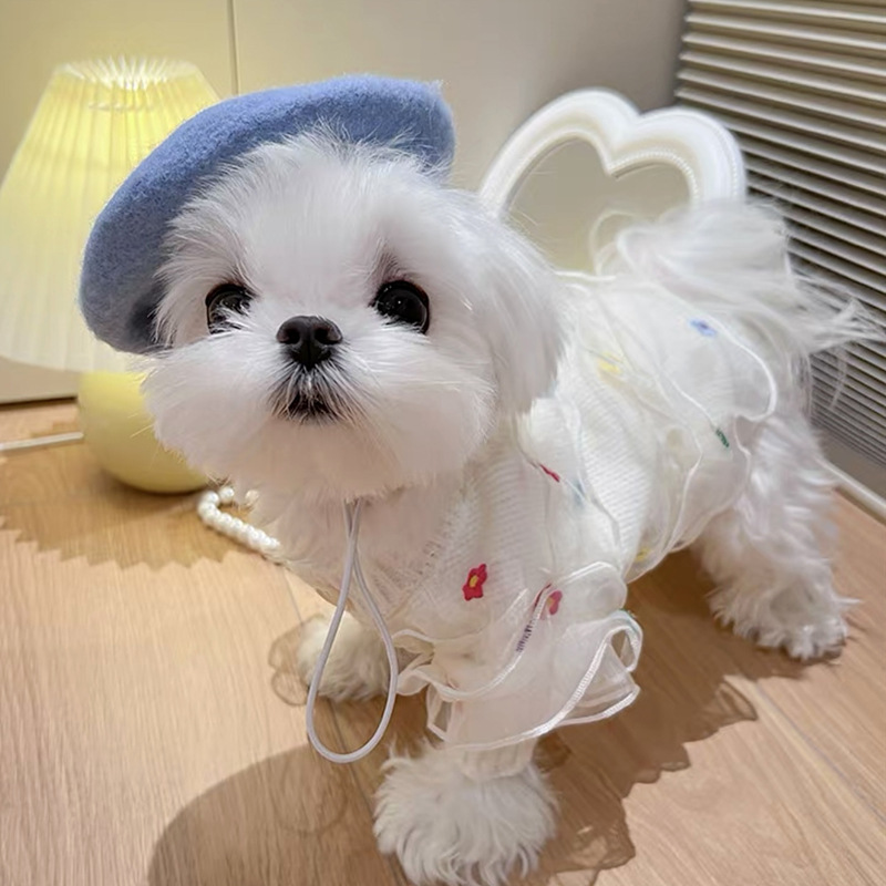 ペットニットセーターテディパンダ小型犬犬服秋の新作ポメラニアンVIP秋冬服