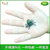 Small round spider (2.5*3cm)