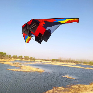 New Large Glider Kite Foreign Trade Cross-Border Amazon Adult Three-Dimensional Kite Breeze Easy to Fly and Resist Strong Wind