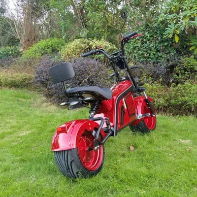 electric motorcycle adult: Elektrikli motosikletlər