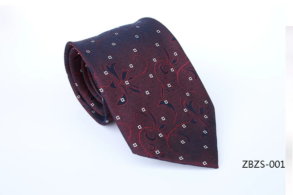 ZBZS-001