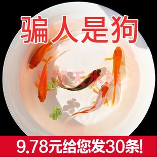 �^�p�~�ݽ��~������B�������B�ͻ��ԁ�ˮ�\������һ���ļ���ˮ�~