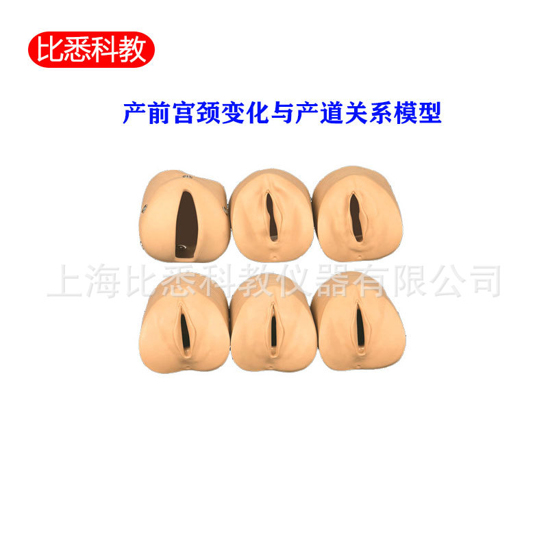 Prenatal cervical changes and the relationship between the birth canal model cervical examination training simulation operation teaching practice