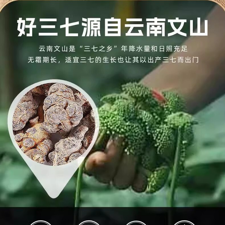 三七粉国药特医100克瓶装500目细粉易吸收文山三七粉源头工厂代发|undefined