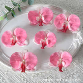仿真花胶片蝴蝶兰花头 3D打印伴手礼装饰diy头饰花人造花厂家批发