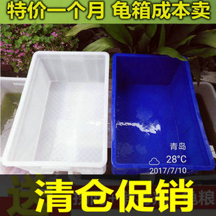 Turtle Tank Large Turtle Box Plastic Filter Landscape White Feeding Box Basket Aquarium Multi-province Free Shipping