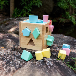 Amazon Explosions Cross-border Building Blocks Matching Shaped Box Enlightenment Early Education Intelligence Box Treasure Color Cognition Wooden Toys