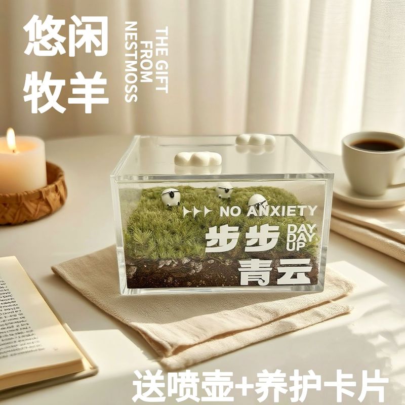 步步青云苔藓微景观一片草坪迷你绿植生态瓶解压ins治愈桌面摆件|undefined