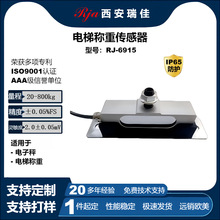 高精度数字力传感器RJ6915量程800kg电子秤仪表现货厂家直销定制