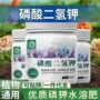 植物通用型营养罐装叶面肥