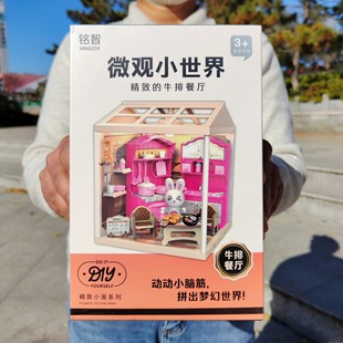 ΢�^С�������w�������DIYС��ģ���ֹ�ƴ�b�^�Ҽ҃�ͯ������l