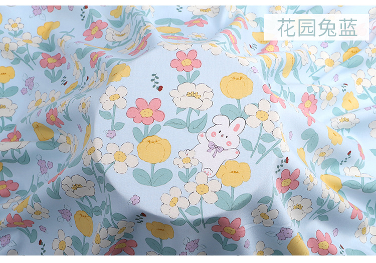 20花园兔蓝