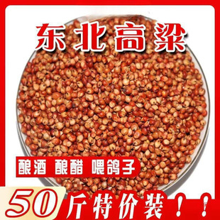 10���¼t����������Ƥ�������w��Mᄾ�ι�������Zȥ������