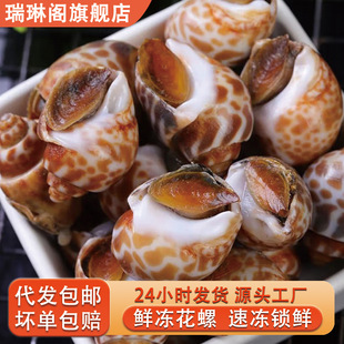 �����r���ك�С�������r����r���|�L�ݓ�֭С���r���rˮ�a���l