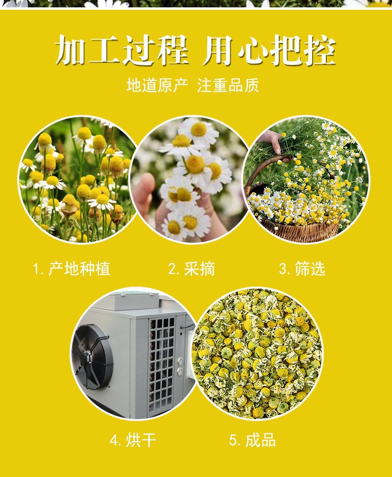 German Chamomile Flower Tea Yang Gan Ju Dried Loose Flowers 500g Bulk Herbal Infusion specifications