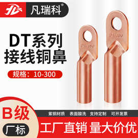 DT线鼻子接线端子铜接头电线电缆接线线耳紫铜铜鼻子