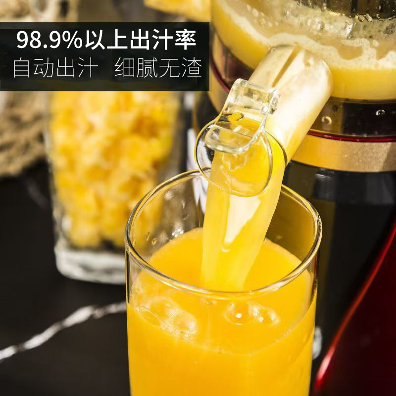 榨汁机渣汁分离家用水果全自动小型多功能果汁机炸果蔬果肉原汁机|undefined