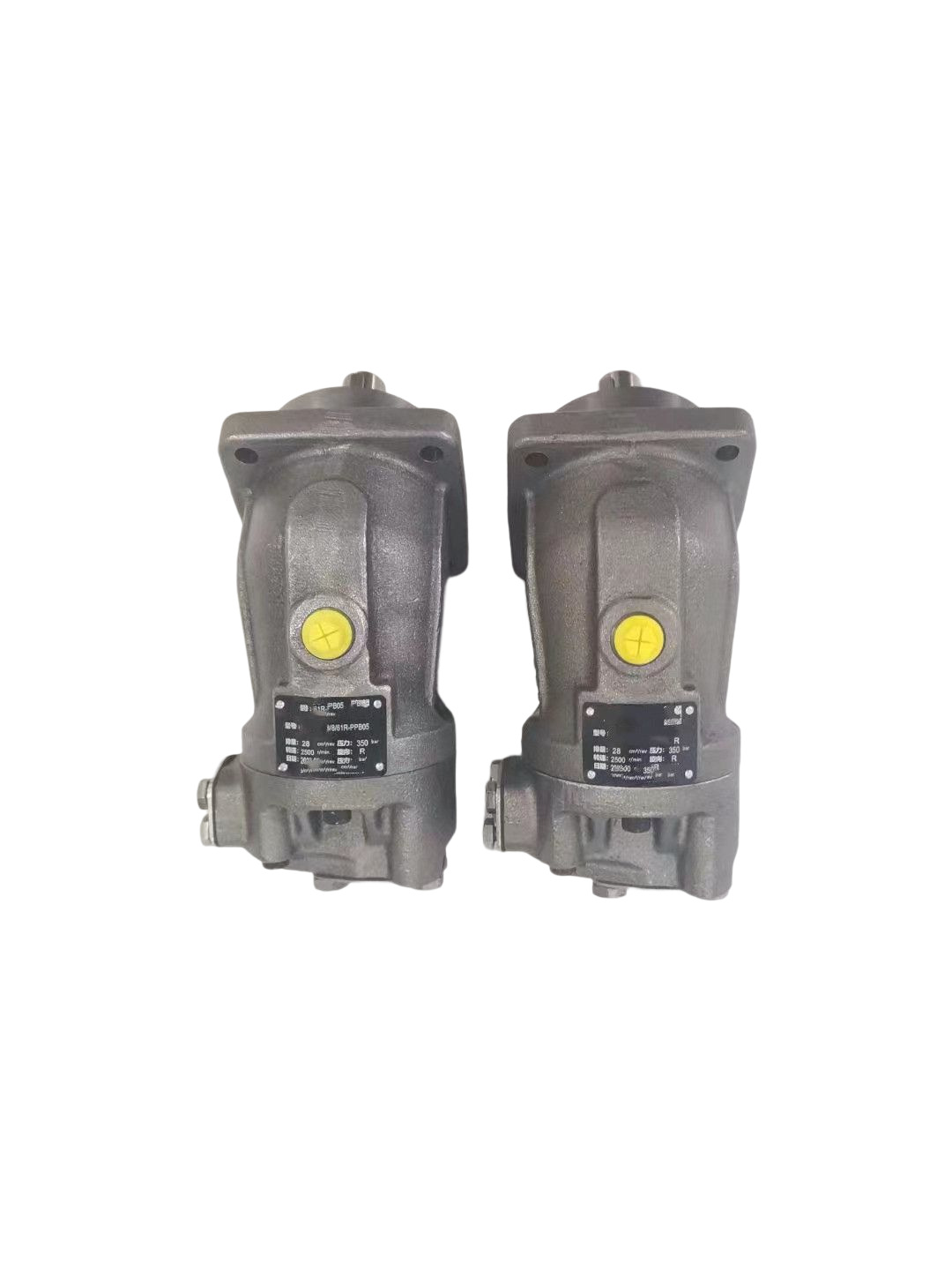 德国REXROTH力士乐柱塞泵A2FM56/61W-VZB027