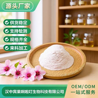 樱花风味粉 樱花口味固体饮料樱花粉厂家 支持加工定制打样樱花粉