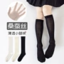 透气夏款女童新品网眼袜