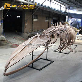 景区大型蓝鲸鲸鱼骨架鲸鱼散骨  主题公园展览生物化石博物馆标本
