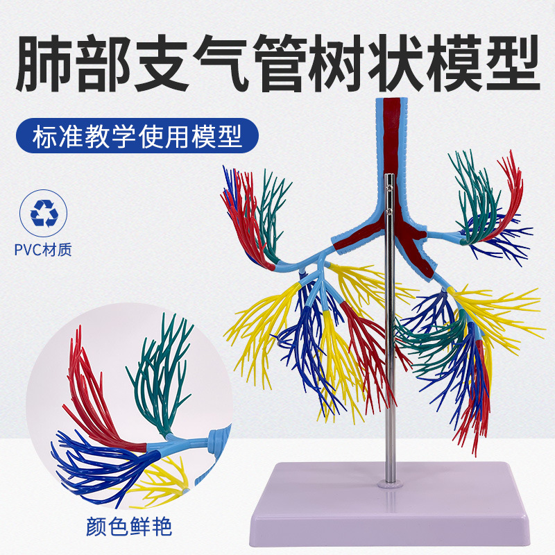 ֧������ģ�� �������ܽ���ģ�� ֧������ģ��  ҽѧ��ѧģ��