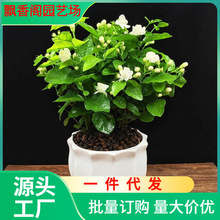 һ�����l�ذ����������҃��ļ��_���^��ֲ���̨������Ã�����