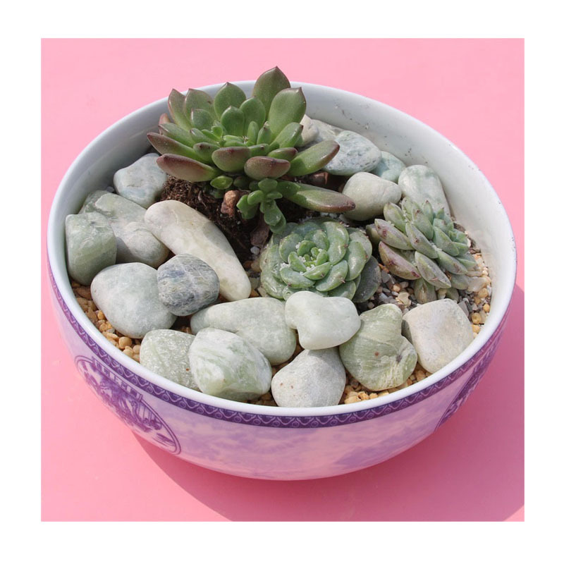 ֻʽɽˮʯ | ˮ쾰ʯ+辰ʯ 5-8