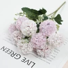 PS-2020-29 Light Ou Chrysanthemum 6#