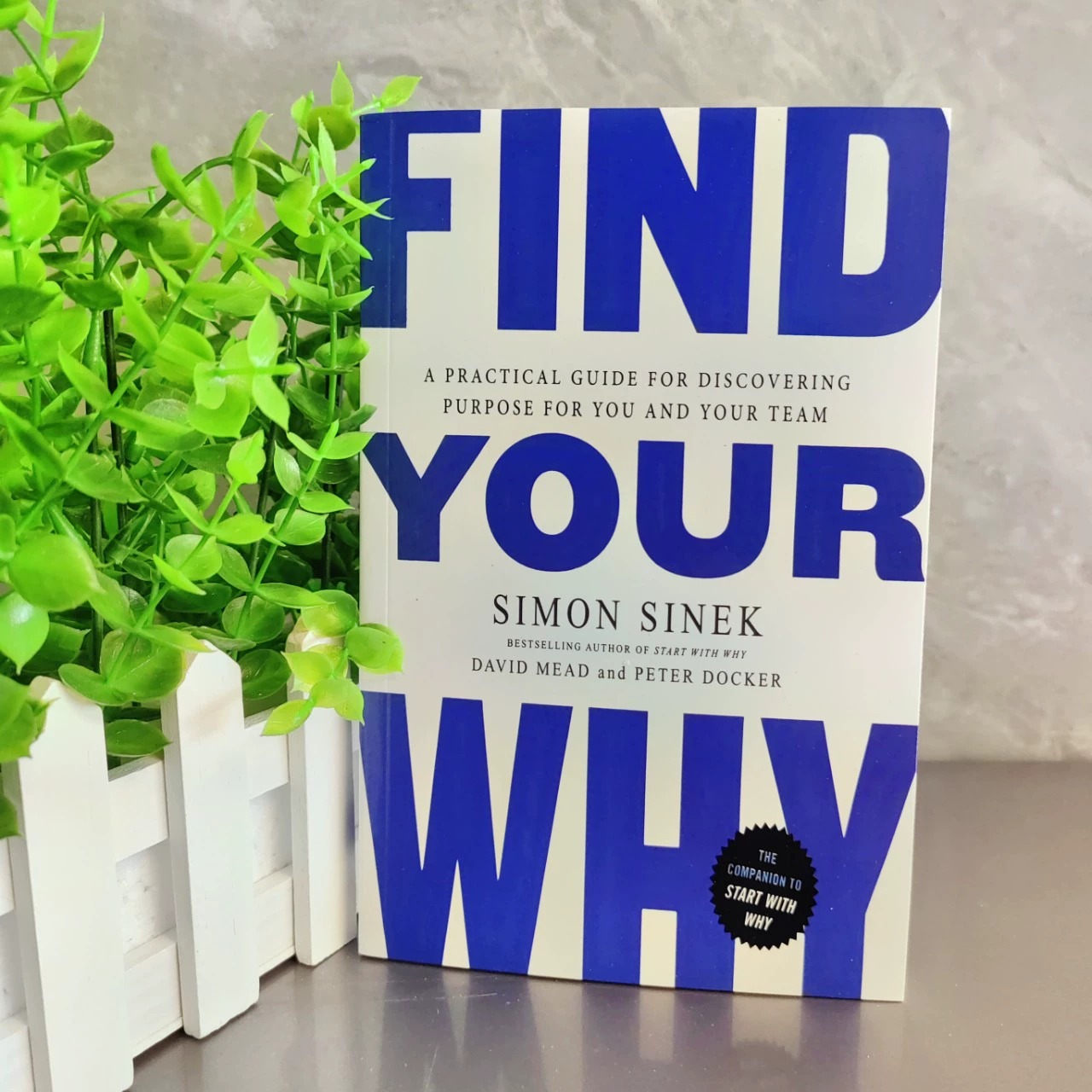 [Find Your Why  Simon Sinek David Mead 找到原因 英文版]
