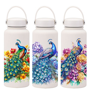 ������304���P�̫�Չ��p����ձ��ر���y�\��ˮ��Water bottle