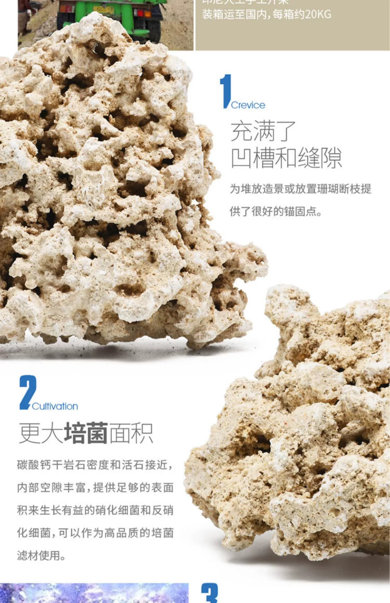 Vastocean印尼爪哇岛干岩石海缸造景石代替活石人工开采死石培菌-阿里巴巴