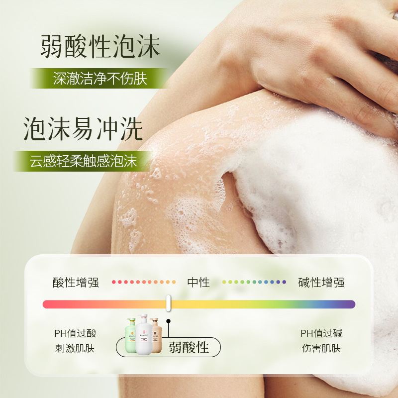 Lan Shi Zhe Shan Camellia Aminoácido Aroma Shampoo Limpieza Profundas para mejorar el cabello peludo Shampoo Lavar Kit image 5