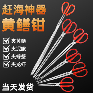 Professional sea-driving equipment Monopterus albus clip catching Monopterus albus artifact loach crab catching fish clamp tool stainless steel garbage clip