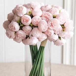 Сĵ���������滨�ٻ��[�O���յ��߿͏d�����b������ϻ�ˇ�[��