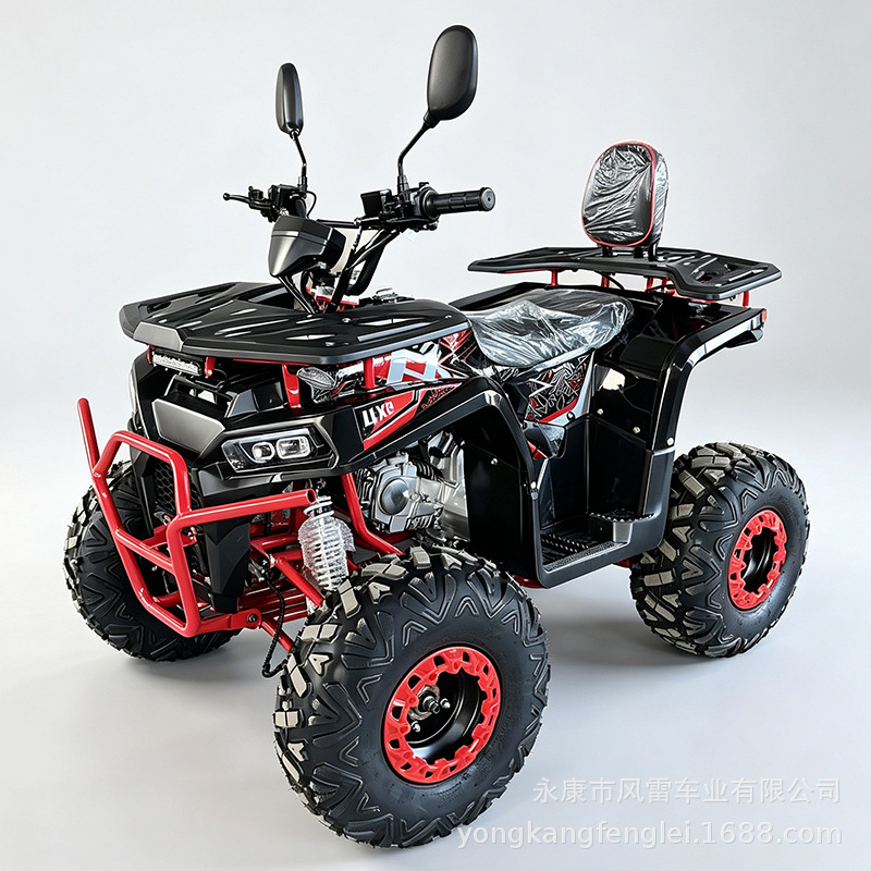Cuatrimoto ATV Todo Terreno 125-250CC de Hierro y Plástico con Transmisión Automática para Montaña image 3